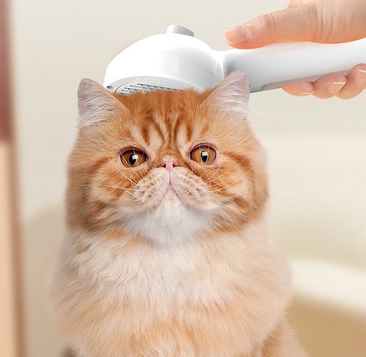 Self-cleaning pet brush with mist spray