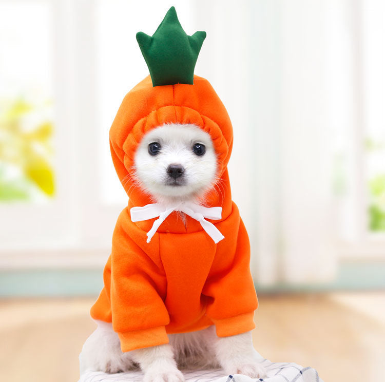 Small dog wearing a fruit-themed fleece hoodie