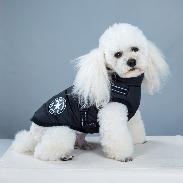 Dog wearing padded winter coat with harness