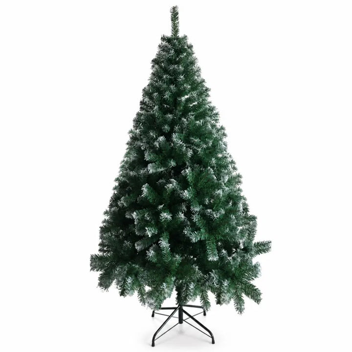 Light green tree with frosted white tips