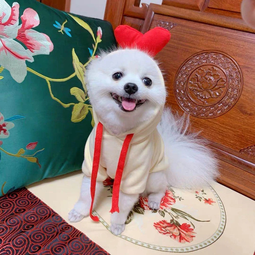 Small dog wearing a fruit-themed fleece hoodie
