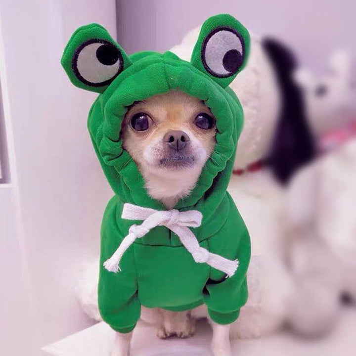 Small dog wearing a fruit-themed fleece hoodie