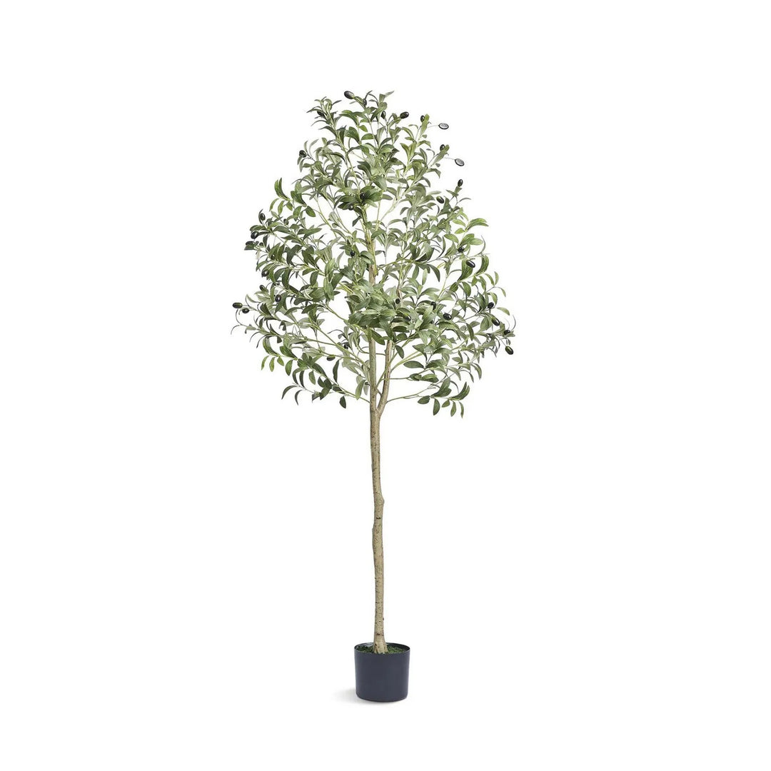 Artificial potted olive tree in living room