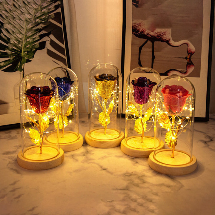Preserved rose under glass dome with lights