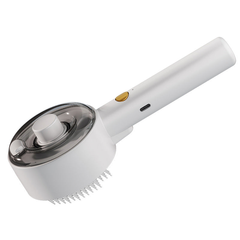 Spray grooming brush with mist for cats