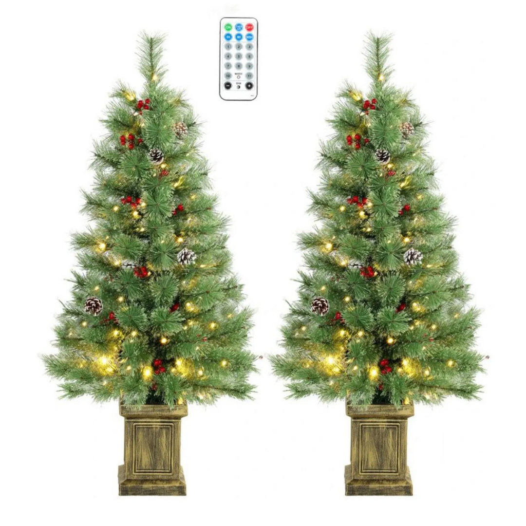 Two potted porch pine trees with berries