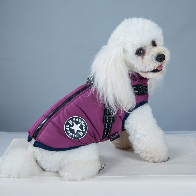 Dog wearing padded winter coat with harness