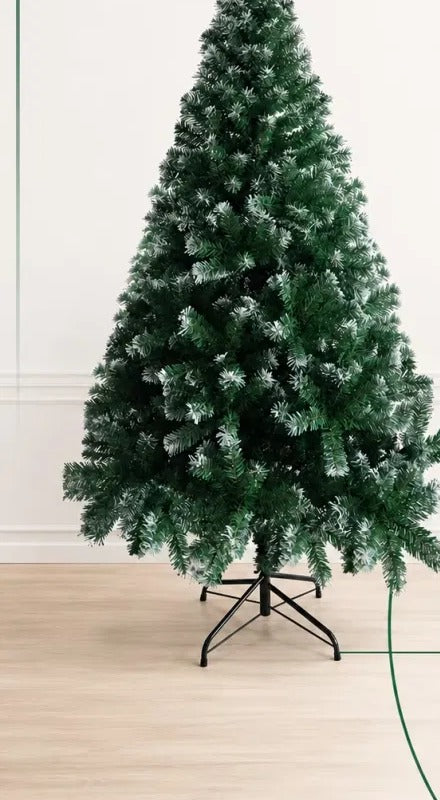 Light green tree with frosted white tips