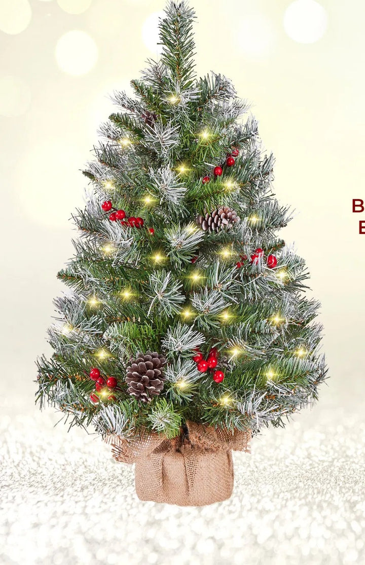 Two frosted tabletop trees with lights