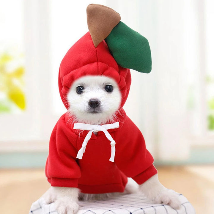 Small dog wearing a fruit-themed fleece hoodie
