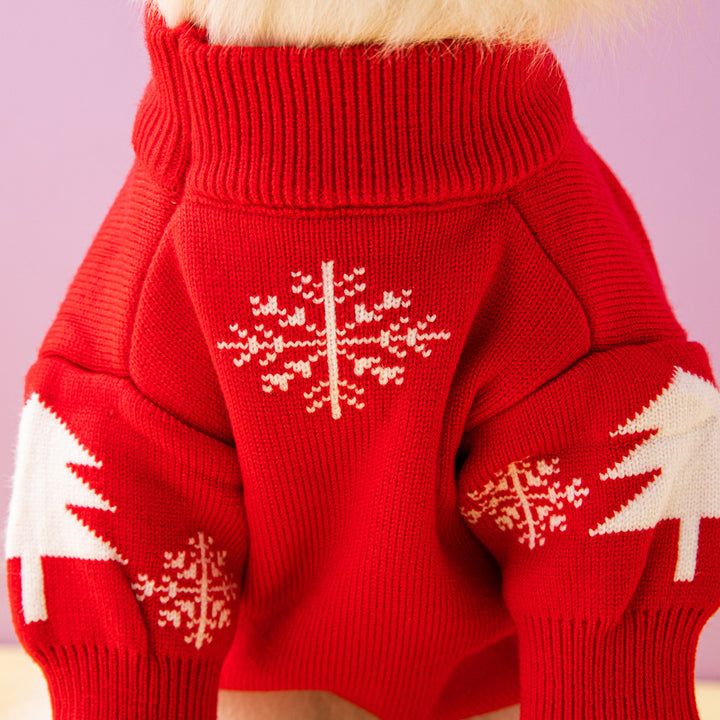 Small dog in knitted Christmas sweater
