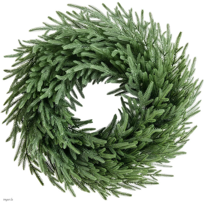 Heat Grove 26 Inch Norfolk Pine Wreath on Natural Vine Base