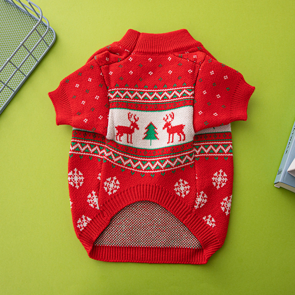 Small dog in knitted Christmas sweater