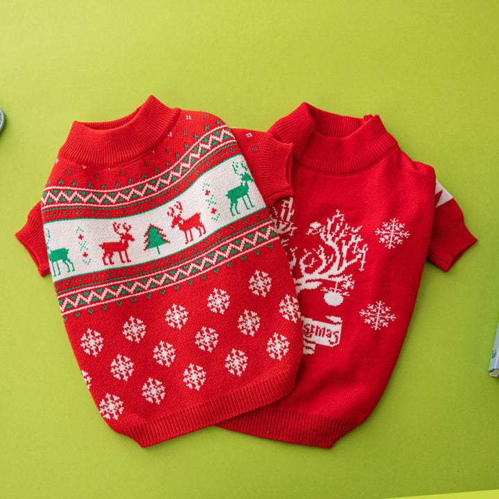 Small dog in knitted Christmas sweater