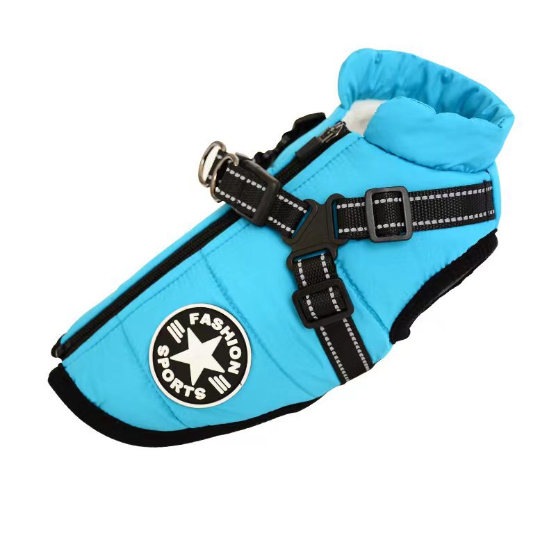 Dog wearing padded winter coat with harness